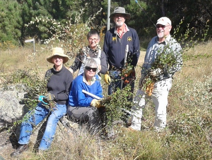 Bushcare Volunteer Group