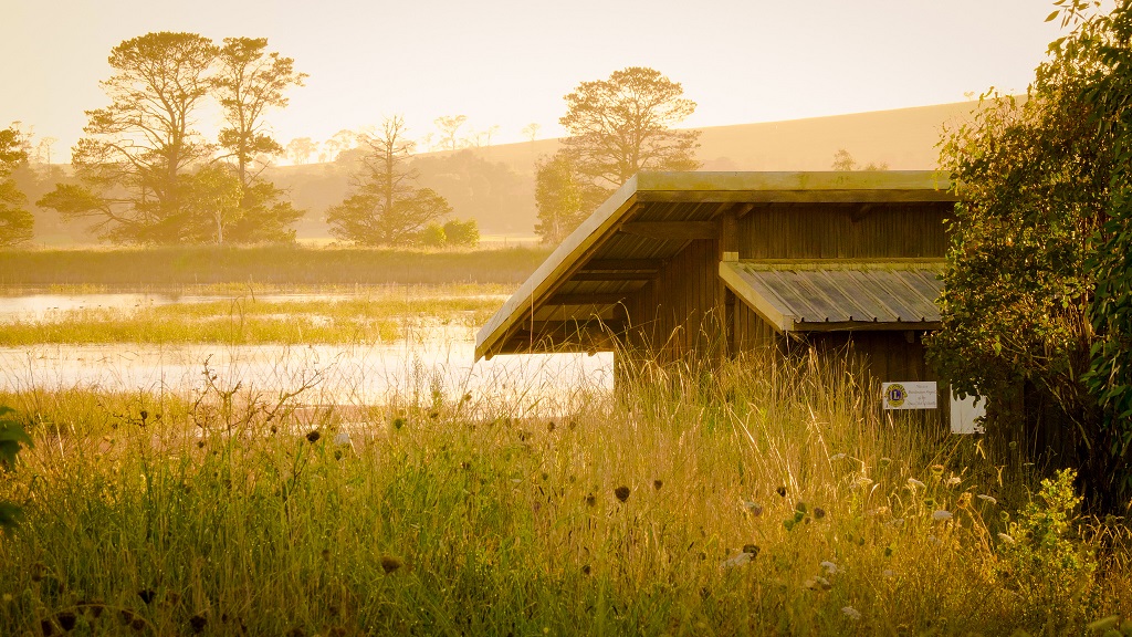 DangarsLagoon.birdhide.jpg